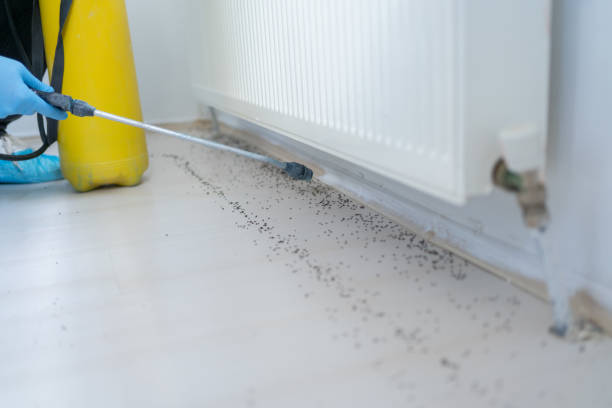 Best Pest Prevention Services  in Phoenix, NY